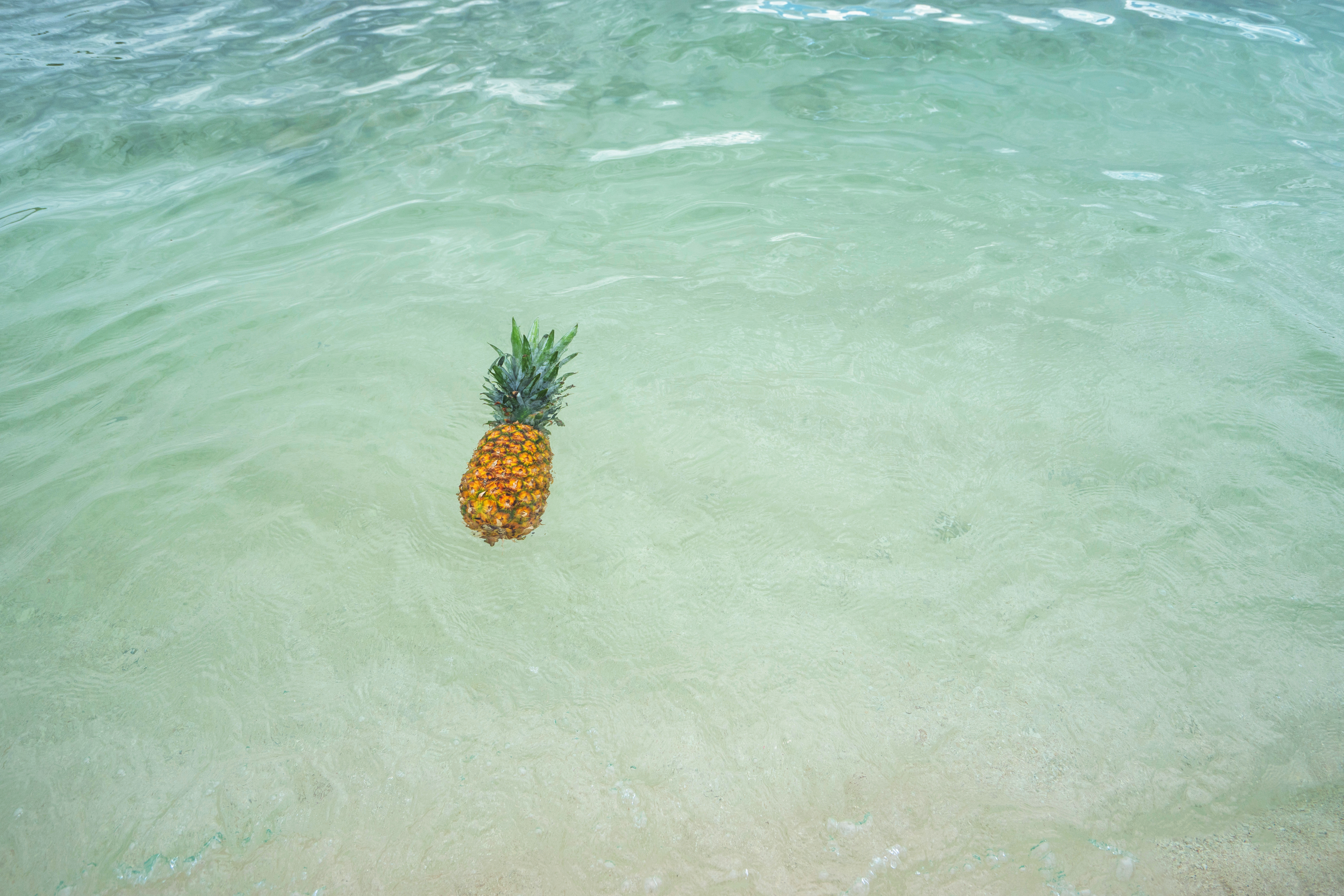 pineapple floating in the ocean