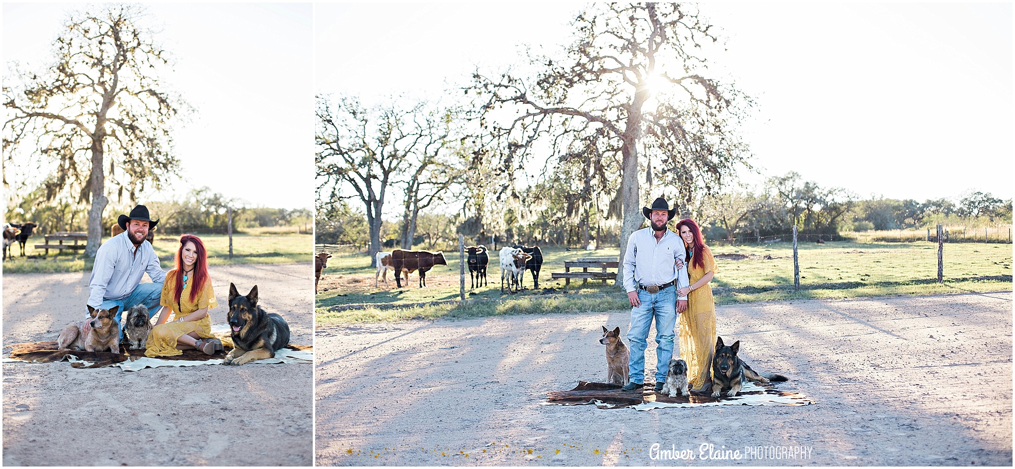 romantic rustic portraits with puppies