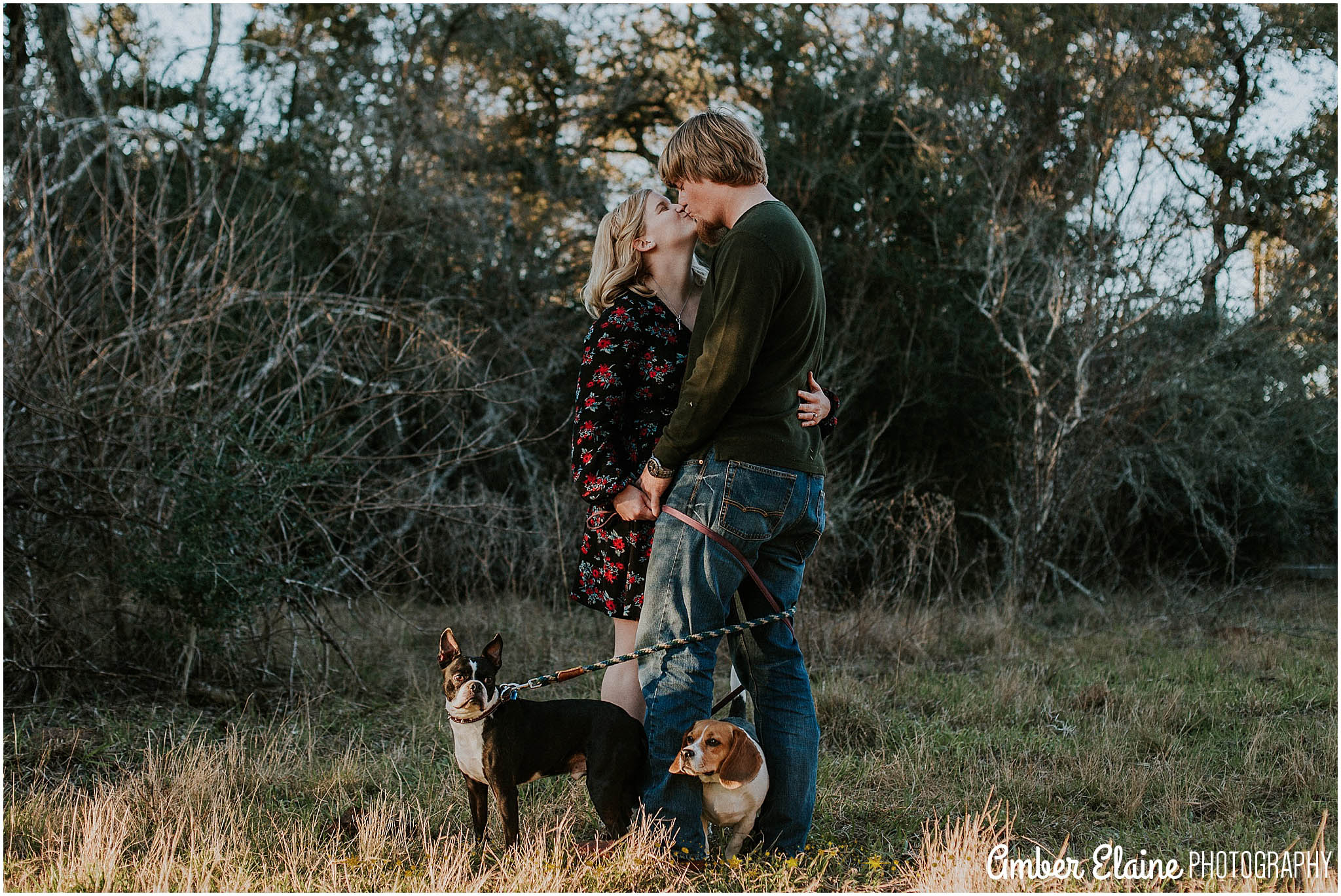 rustic engagement photos with dogs