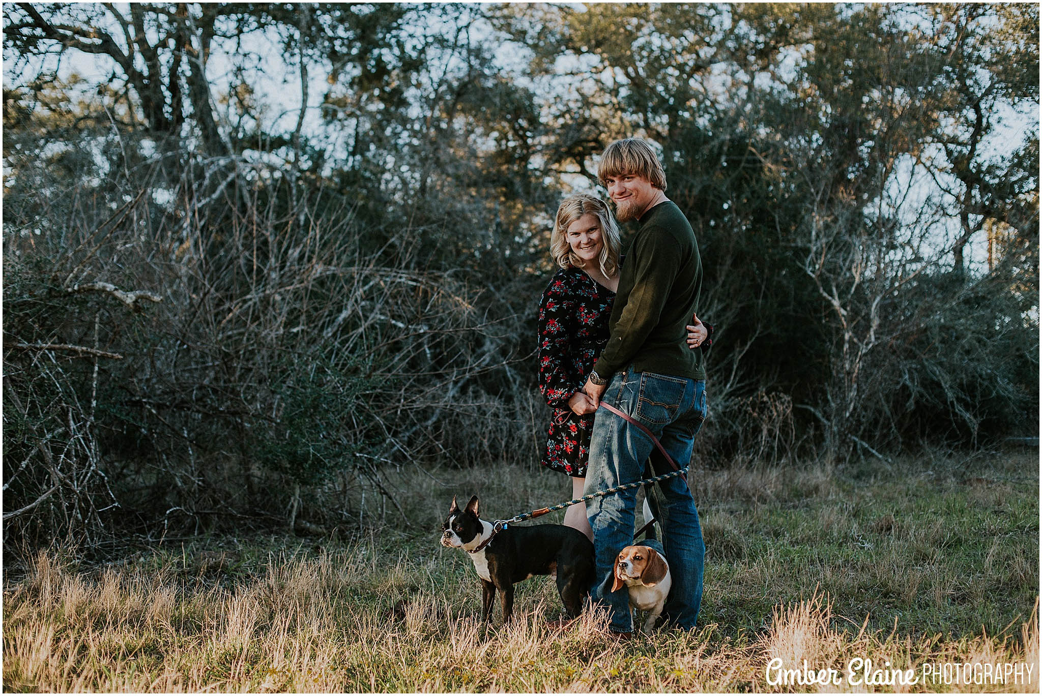 rustic engagement photos with dogs