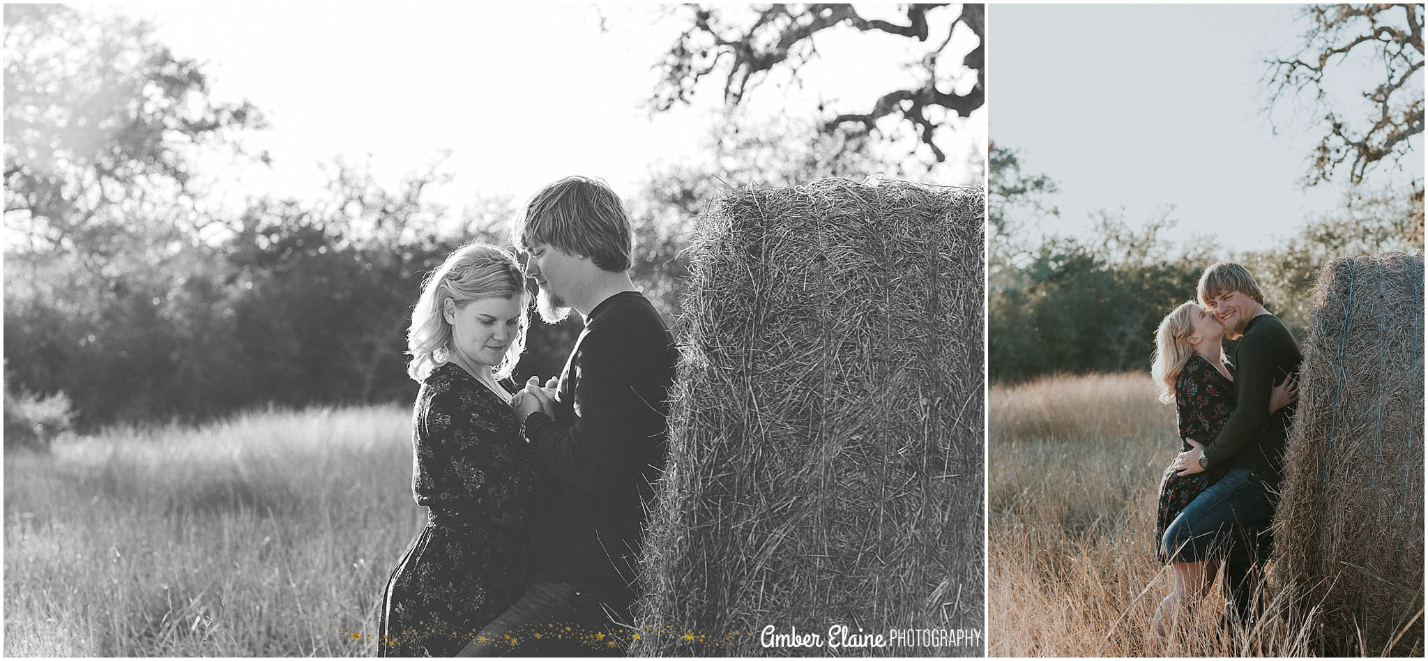 rustic engagement photos with dogs