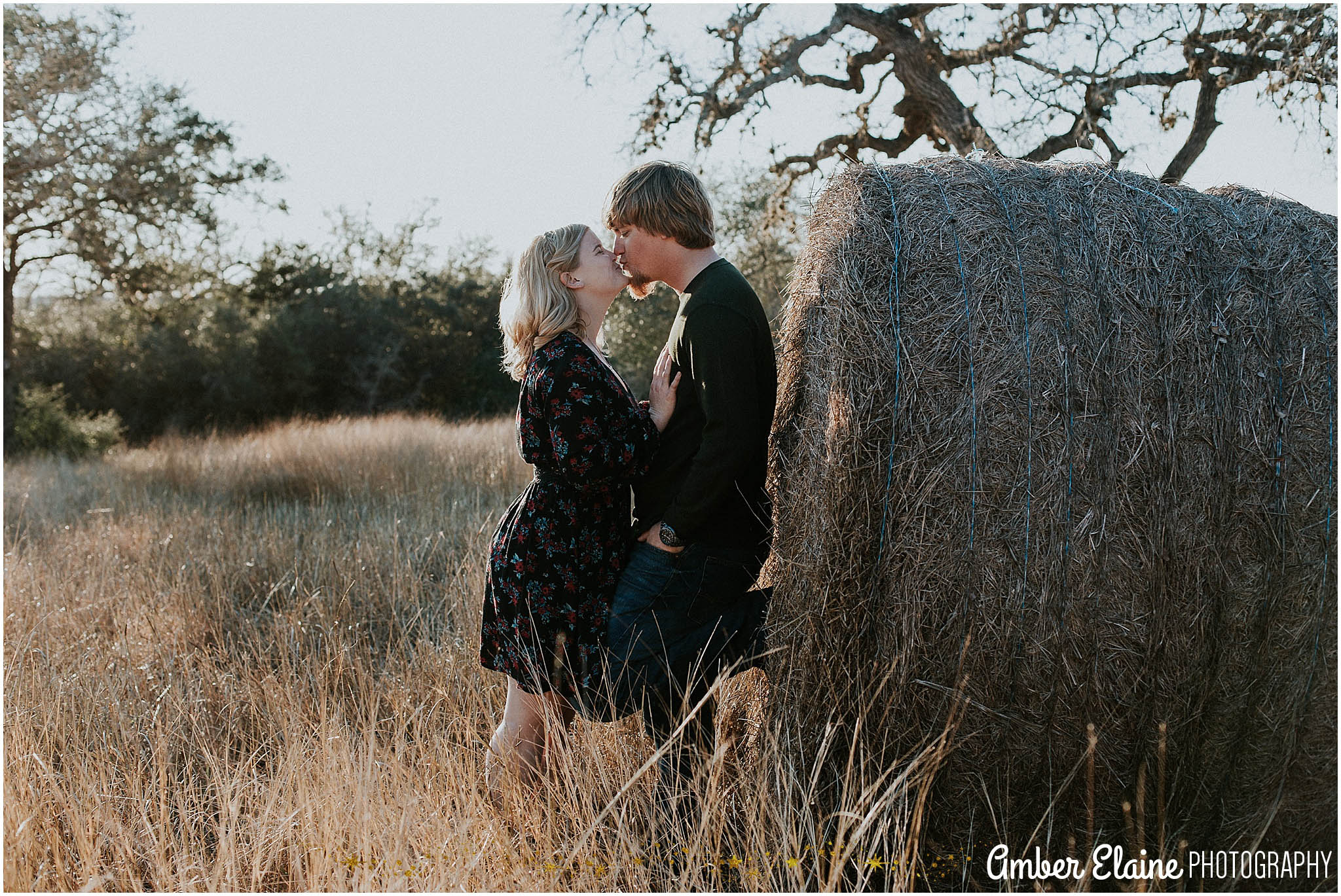 rustic engagement photos with dogs