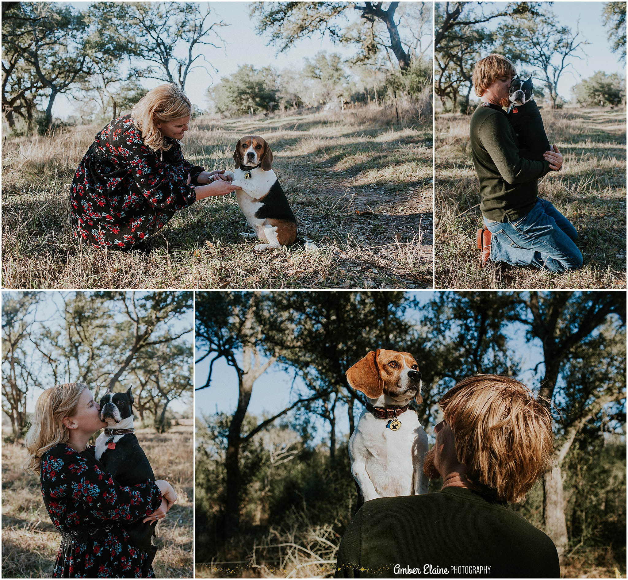 rustic engagement photos with dogs