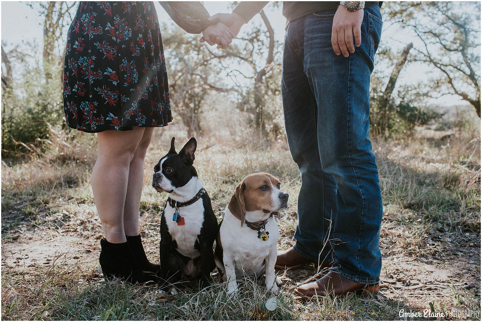 rustic engagement photos with dogs