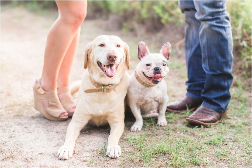 houston tx summer engagement